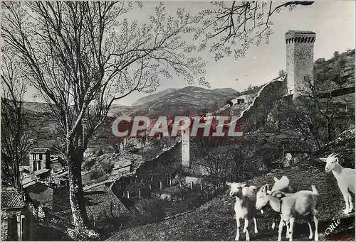 Cartes postales moderne Castellane Bassees Alpes sur la route Napoleon station estivale Chevres