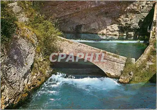 Cartes postales moderne Cahors Lot Source des Chartreux