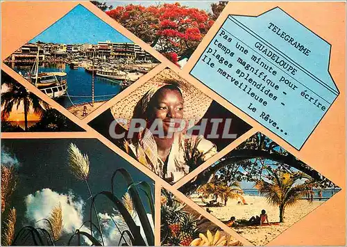 Cartes postales moderne Vues de la Guadeloupe