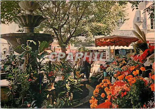 Moderne Karte Grasse Alpes Maritimes La fontaine de la place aux Aires