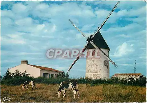 Moderne Karte Vendee Pittoresque Un vieux moulin