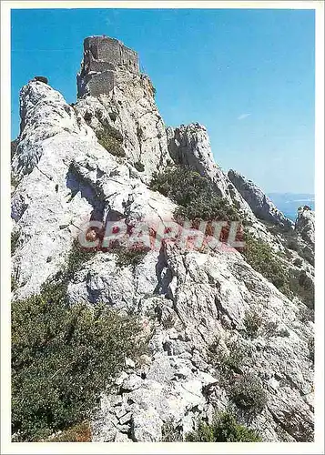 Cartes postales moderne Pays Cathare Chateau de Queribus Le dernier bastion