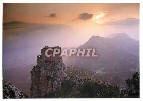 Cartes postales moderne Pays Cathare Chateau de Queribus au coeur du probleme