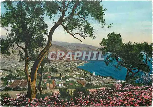 Cartes postales moderne Riviera dei Fiori S Remo Panorama vu de l'Ouest