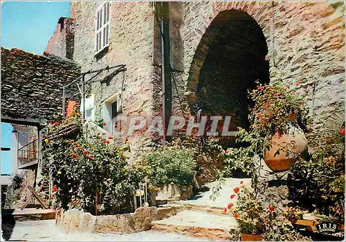 Cartes postales moderne Borme les Mimosas Un coin pittoresque