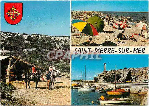 Cartes postales moderne Saint Pierre sur Mer Aude La promenade a cheval dans le Massid de la Claper La Plage