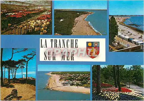 Cartes postales moderne La Tranche sur Mer La Griere Vendee Les Floralies La Plge de la Griere La Plage de la Tranche