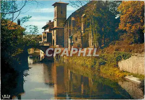 Cartes postales moderne Saint Pied de Port La Nive Le Pont d'Esepagne et l'Eglise
