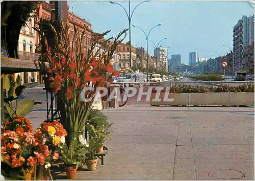 Cartes postales moderne Toulouse Ville d'Art