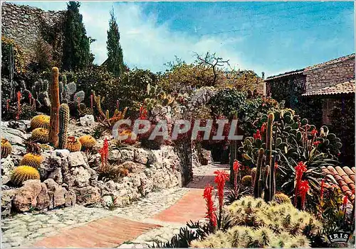 Moderne Karte La Cote d'Azur French Riviera Eze Village Le Jardin exotique