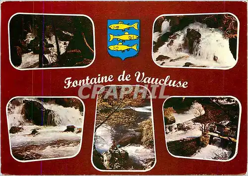 Cartes postales moderne Fontaine de Vaucluse Vues sur le torrent