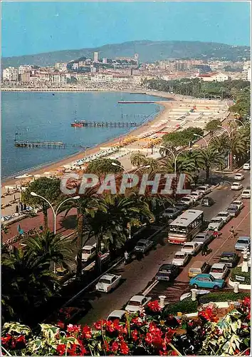 Cartes postales moderne Cannes La Croisette et le Suquet