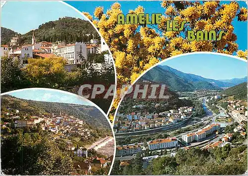 Cartes postales moderne Amelie les Bains Perle des Pyrenees Station thermale et Climatique Ete Hiver Palalda