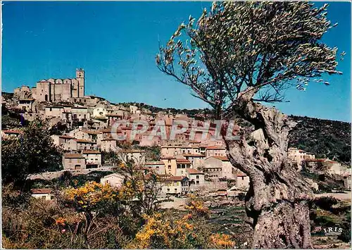 Cartes postales moderne Le Roussillon Aux environs de Prades Le village d'Eus domine par l'Eglise Saint Vincent