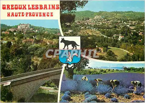 Cartes postales moderne Greoux les Bains Alpes de Haute Provence Station thermale et climatique