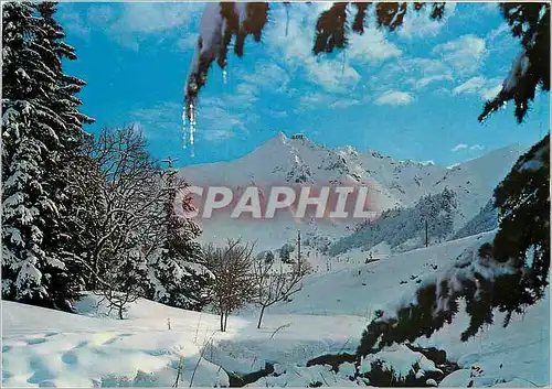 Cartes postales moderne Paysage hivernal