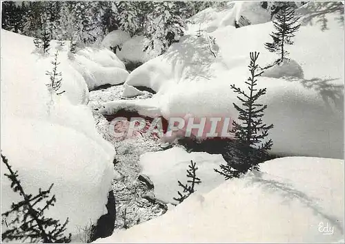 Cartes postales moderne Images de chez nous en hiver Ruisselet sous la neige