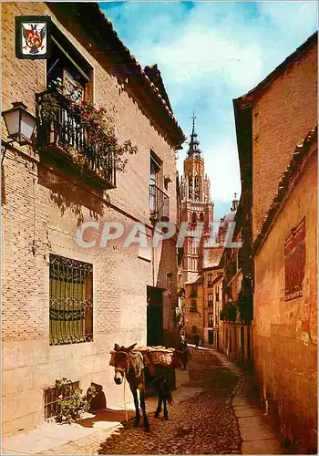 Cartes postales moderne Toledo Rue Ste Elizabeth Au fond la Cathedrale