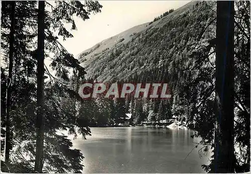 Cartes postales moderne Le Lac de Montriond Hte Savoie