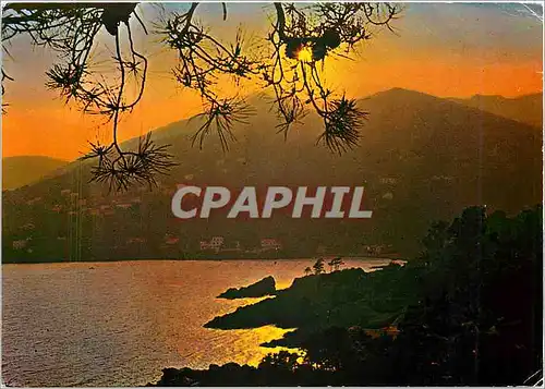 Cartes postales moderne Cote d'Azur Coucher de Soleil