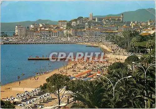 Cartes postales moderne Cannes Une partie de la nouvelle Plage le Quai St Pierre et le Suquet