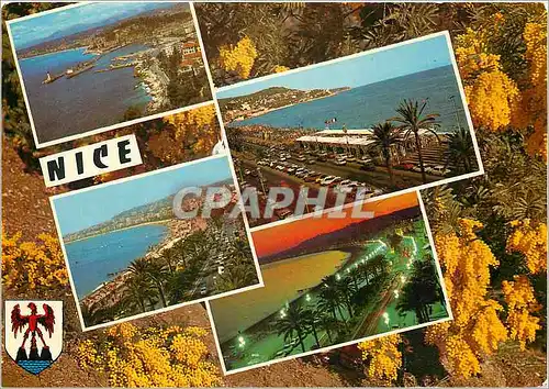 Cartes postales moderne Souvenir de Nice