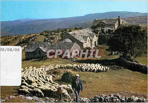 Moderne Karte Depart pour le Paturage