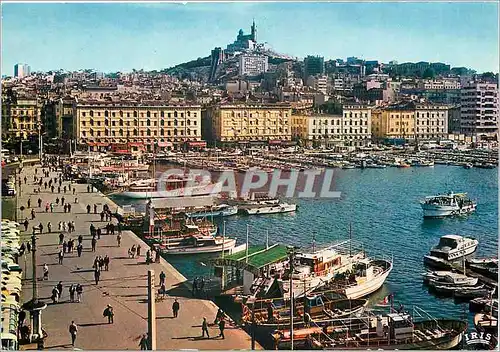 Cartes postales moderne Marseille B du R Le Quai des Belges le Vieux Port et Notre Dame de la Garde