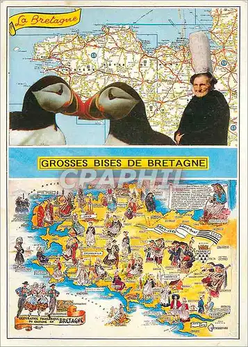 Cartes postales moderne La Bretagne