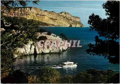 Cartes postales moderne Cassis sur Mer Les calanques Dans le fond le Cap Canaille