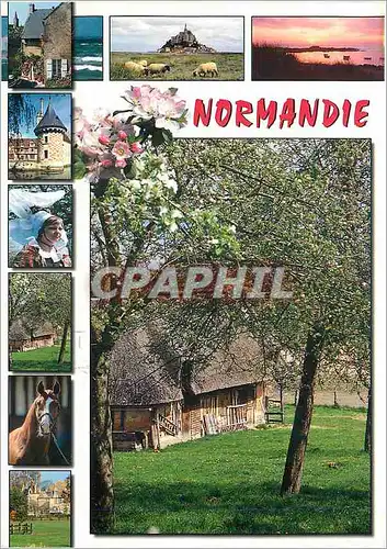 Cartes postales moderne En Normandie