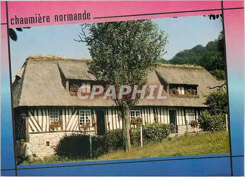 Cartes postales moderne Chaumiere normande