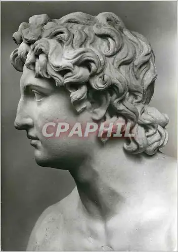 Cartes postales moderne Munchen Glyptothek Alecander Romische Kopie nach einem Werk des Euphranor