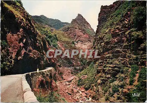 Cartes postales moderne Reflets de la Cote d'Azur Circuit des Gorges du Cians et de de Daluis