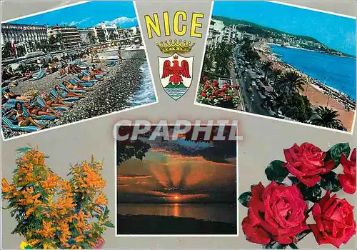 Cartes postales moderne La Cote d'Azur Nice