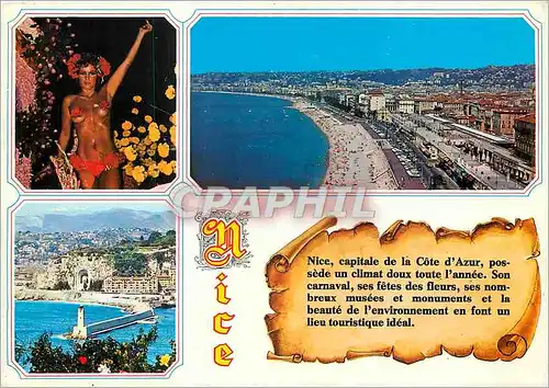 Cartes postales moderne Nice Vue generale de la ville du port et ses fetes des fleurs