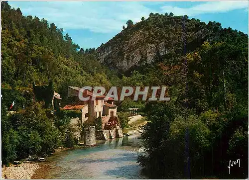 Cartes postales moderne La Cote d'Azur miracle de la nature La Colle sur Loup environs de Saint Paul AM