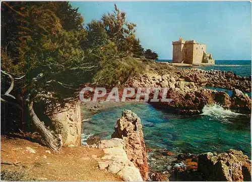 Cartes postales moderne La Cote d'Azur miracle de la nature Ile Saint Honorat AM