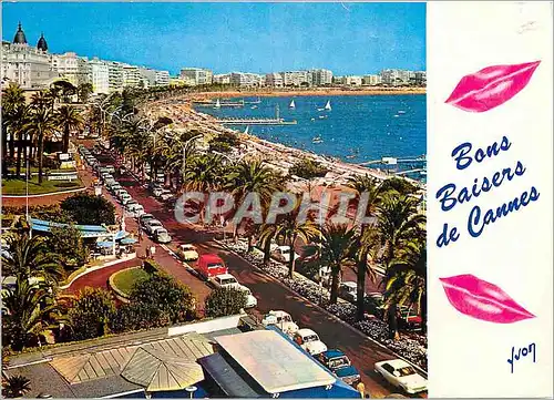 Cartes postales moderne La Cote d'Azur miracle de la nature Cannes Alpes Maritimes La Croisette