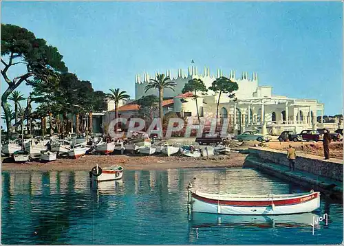 Cartes postales moderne La Cote d'Azur miracle de la nature Cannes AM Le Palm Beach