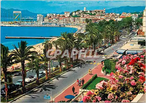 Cartes postales moderne Cannes Alpes Maritimes La Promenade de la Croisette