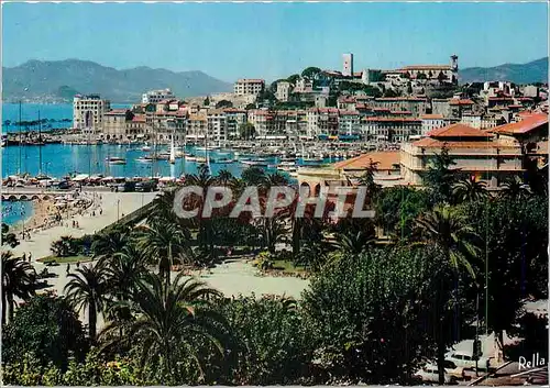 Cartes postales moderne Cannes Le Casino Municipal Le Quai Saint Pierre et le Suquet