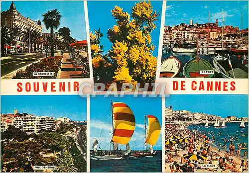 Cartes postales moderne La Cote d'Azur Cannes