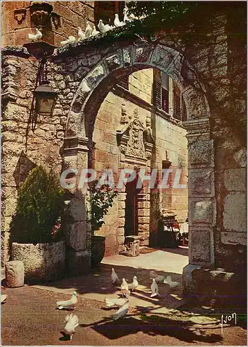 Cartes postales moderne La Cote d'Azur miracle de la nature Les colombes blanches de Saint Paul Alpes Maritimes