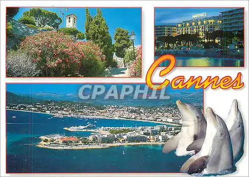 Moderne Karte Cote d'Azur French Riviera Cannes Alpes Maritimes Dauphins
