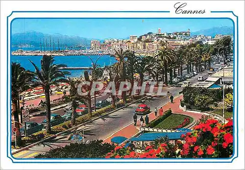 Cartes postales moderne La Cote d'Azur French Riviera Cannes Alpes Maritimes