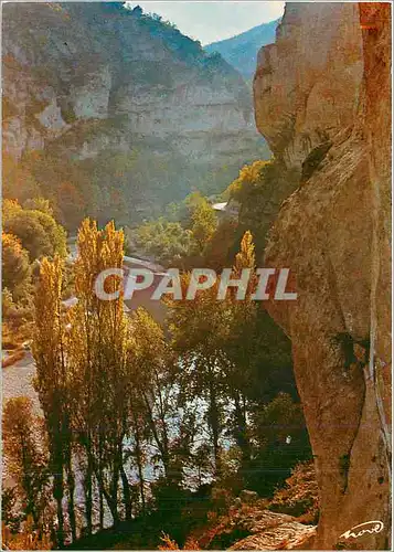 Cartes postales moderne Gorges du Tarn Cirque des Baumes Lozere