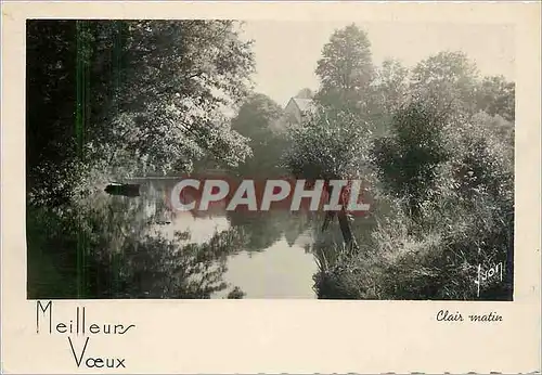 Cartes postales moderne Meilleurs Voeux