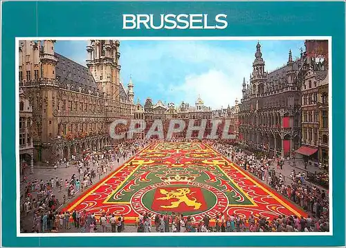 Moderne Karte Brussels Grand Place Tapis de fleurs