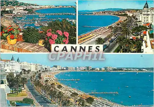 Cartes postales moderne La Cote d'Azur Cannes